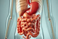 sistem pencernaan pada manusia